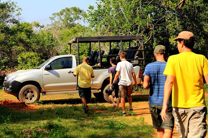 Leopard Safari Tour in Yala National Park - Price math: the $20 tour fee vs the real total