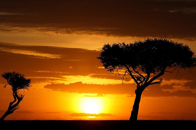 Leopard Safari Tour in Yala National Park - Wildlife you might see besides leopards