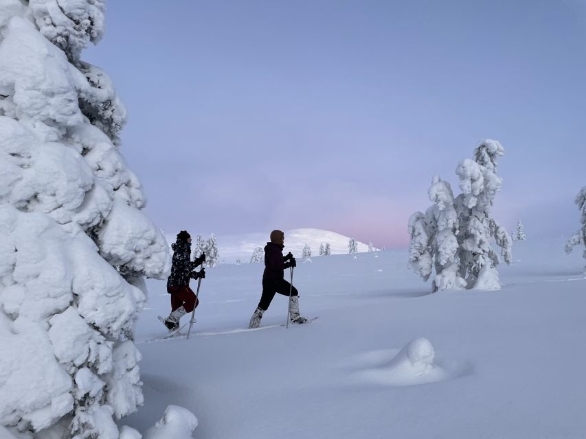 Levi: Pallas-Yllästunturi National Park Snowshoeing Tour - Snowshoeing through Pallas-Yllästunturi’s quiet winter world