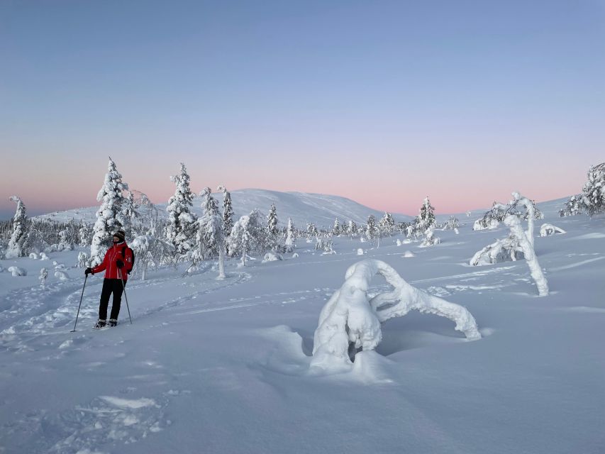 Levi: Pallas-Yllästunturi National Park Snowshoeing Tour - What to pack: winter clothing is the real make-or-break