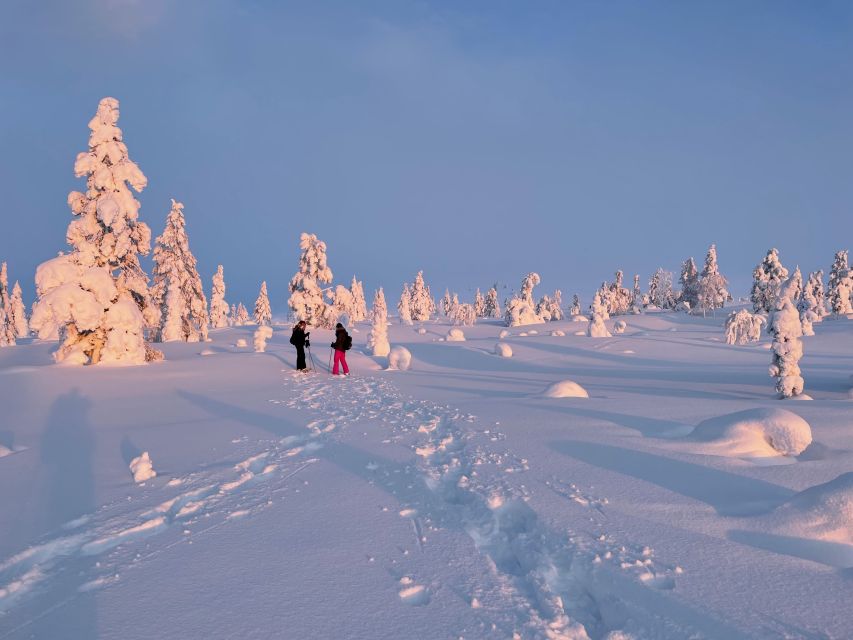 Levi: Pallas-Yllästunturi National Park Snowshoeing Tour - Who this tour is for (and who should think twice)