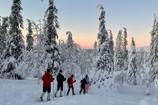 Levi: Snowshoeing adventure in the National Park - Key things I’d bet on