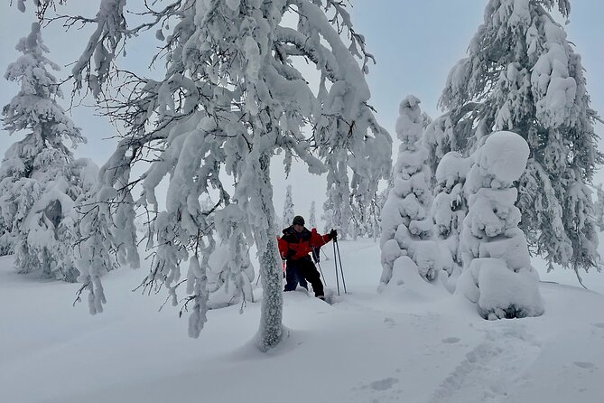 Levi: Snowshoeing adventure in the National Park - Guides matter: attentive pacing for different comfort levels