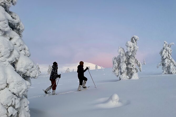 Levi: Snowshoeing adventure in the National Park - Price and value check: what you pay for at $191.56