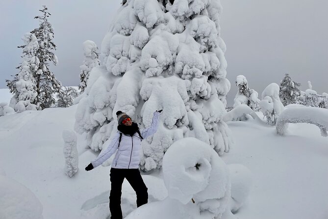 Levi: Snowshoeing adventure in the National Park - Group size, English, and the small perks that reduce stress