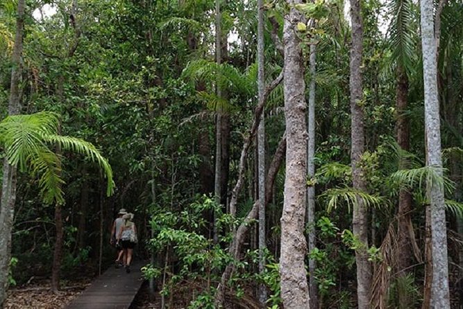 Litchfield National Park and Jumping Crocodile Cruise - Key things that make this day work