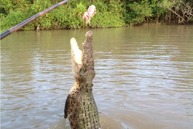 Litchfield National Park and Jumping Crocodile Cruise - Price and value: is $172.14 worth it?