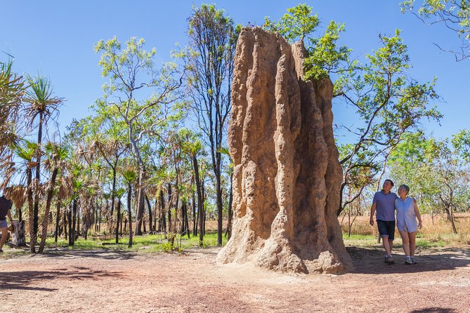 Litchfield National Park Day Tour from Darwin - Howard Springs Nature Park: a wildlife pause, not the main event