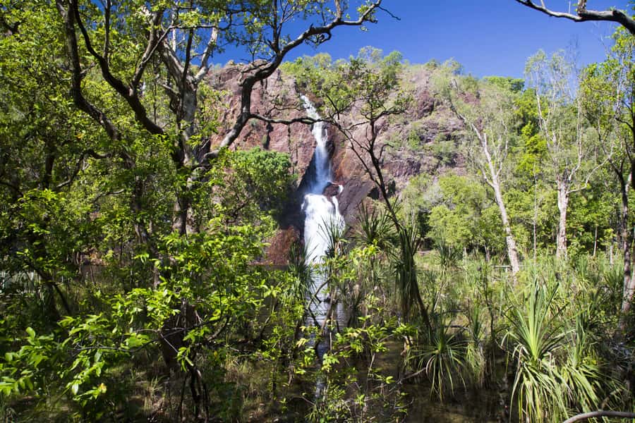 Litchfield National Park: Full-Day & Lunch from Darwin - Who should book this tour, and who should think twice