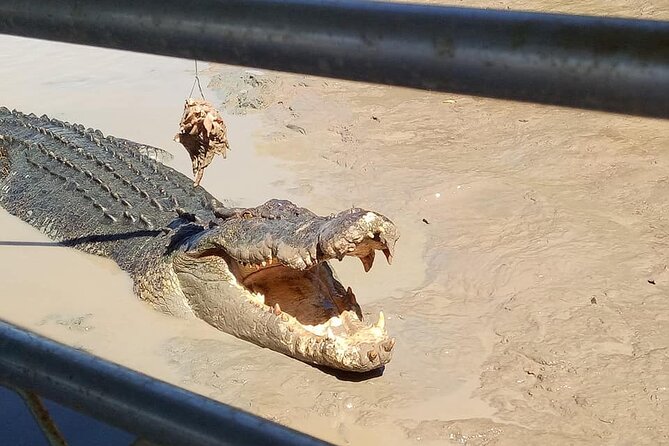 Litchfield National Park Tour with Wetlands or Crocodile Cruise - Buley Rockhole and Wangi Falls: Your Midday Reset in the Pools