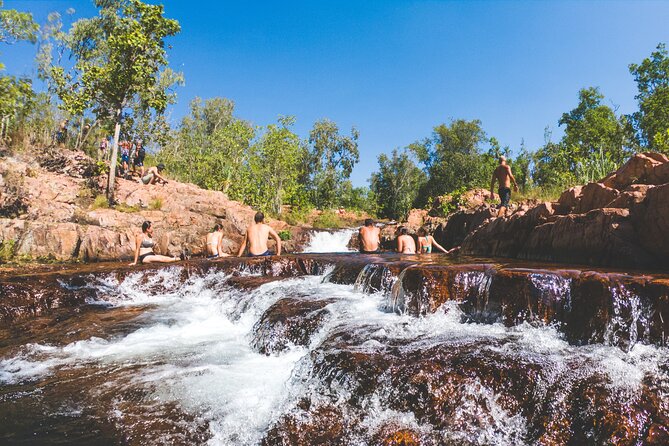 Litchfield National Park Waterfalls & Wildlife Adventure Tour - Fogg Dam Conservation Reserve: Wetlands Birds and Crocodile Country