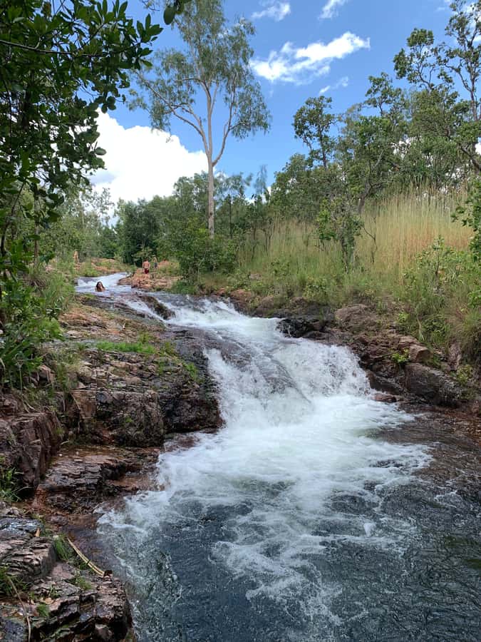 Litchfield VIP Tours, Litchfield National Park, Day Tours, - Food on the water: lunch and snacks that actually satisfy