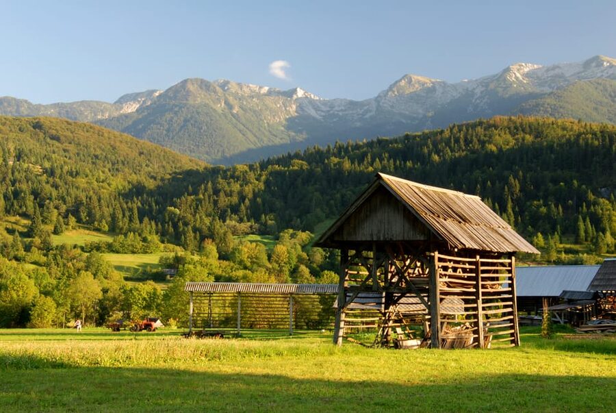 Ljubljana: Lake Bled & Triglav National Park Full-Day Trip - Who This Trip Suits Best (and Who Should Skip It)