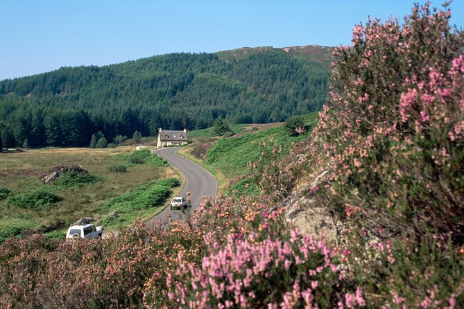 Loch Lomond National Park & Stirling Castle Full Day Tour - Key things to know before you go