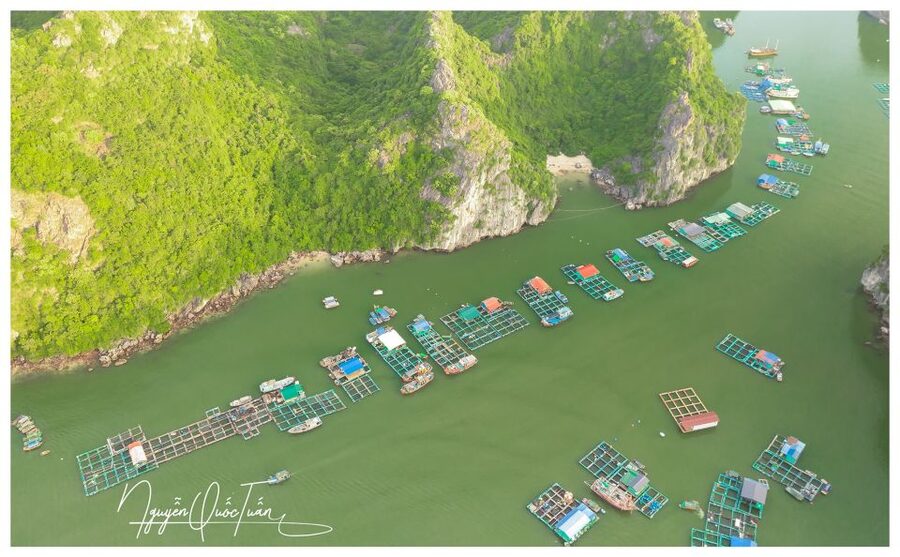 Long Trekking Catba national park, Lan ha bay full day trip - The vibe: active, scenic, and built for a full day