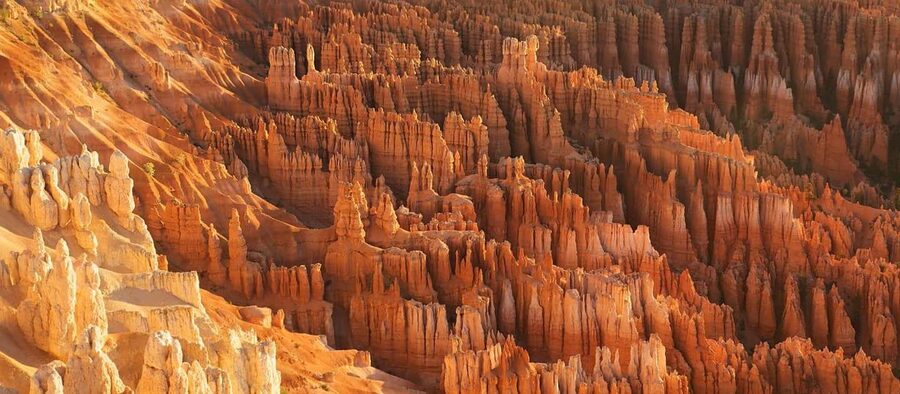 Los Angeles: 10-Day Yellowstone National Park Round Tour - The Grand Canyon South Rim and a Sphere-style finish in Las Vegas