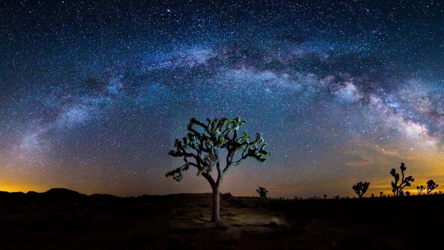 Los Angeles: Private Tour to Joshua Tree National Park - Optional stops on the way in: Pioneertown, desert art, and oddball stops