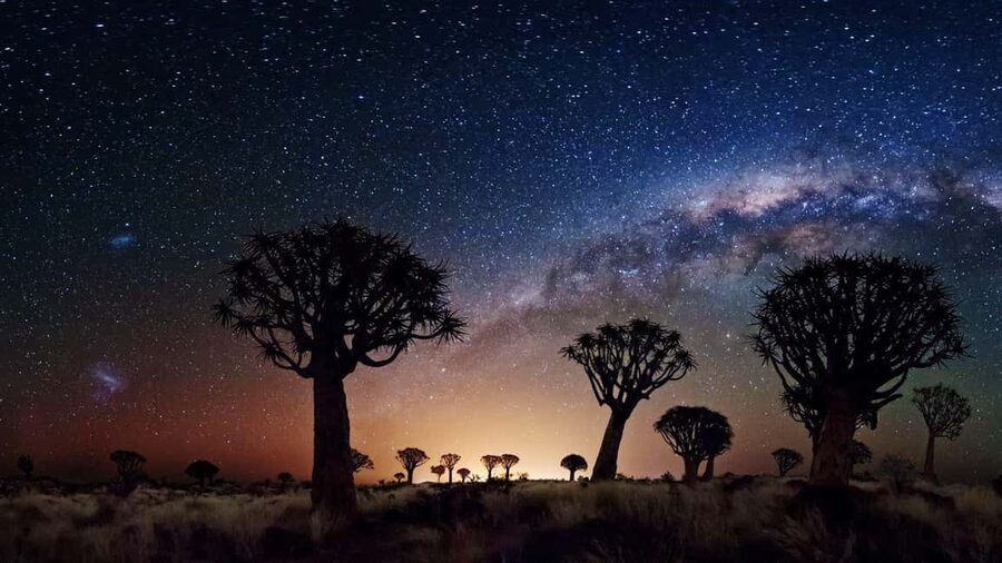 Los Angeles: Private Tour to Joshua Tree National Park - Should you book this private Joshua Tree tour from Los Angeles?