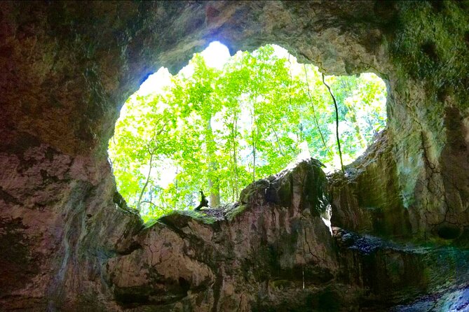 Los Haitises National Park and Cayo Levantado Island Day Trip from Samana - Ride Across Samana Bay: Your First Real Taste of the Islands