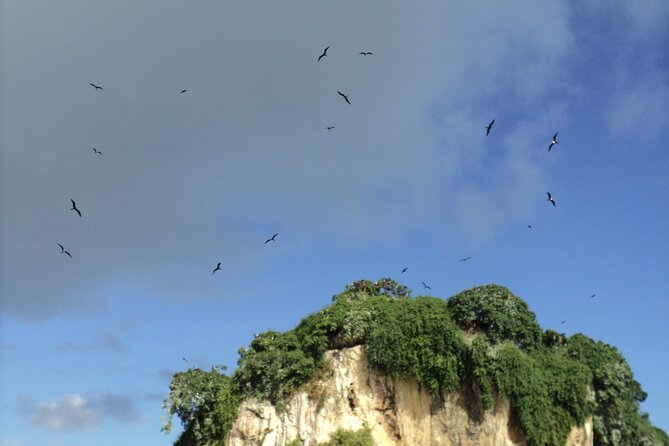 Los Haitises National Park and Cayo Levantado Island Day Trip from Samana - Weather and Common Sense: What Can Affect Your Day