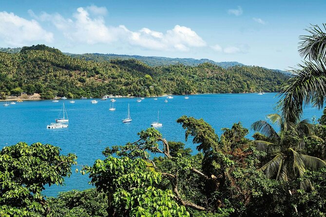 Los Haitises National Park, Montaña Redonda & Bacardi Island - Price and Value: Is $203 Worth a Full Day Like This?