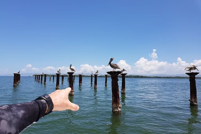 LOS HAITISES National Park - Punta cana - What to pack for a mangrove-and-caves day