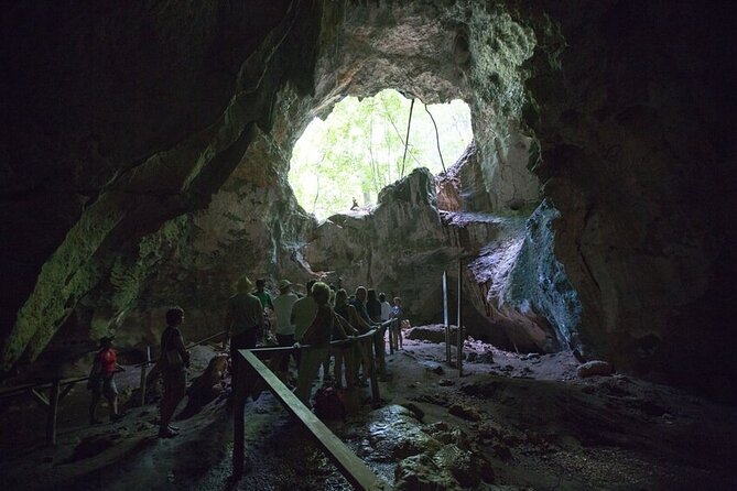 LOS HAITISES National Park - Punta cana - Who this Los Haitises tour fits best (and who should skip it)