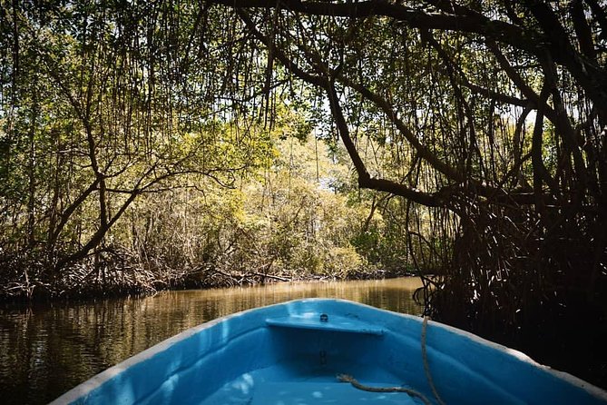 Los Haitises National Park Tour from Las Terrenas or Samana (Half Day Trip) - Cave time with indigenous art: your “slow down” moment