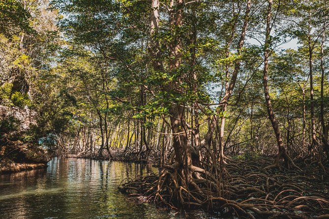 Los Haitises National Park Tour from Las Terrenas or Samana (Half Day Trip) - What to pack (so you don’t regret it later)