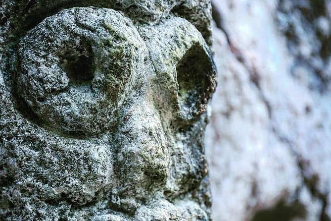 Los Haitises National Park Tour from Punta Cana Montana Redonda and Cano Hondo - Who this tour is for (and who should reconsider)