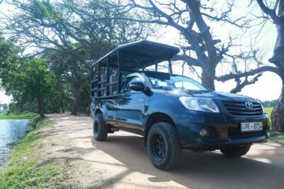 Lunugamvehera National Park Private Safari - Inside the Park: Reservoir Terrain and the Elephant Corridor