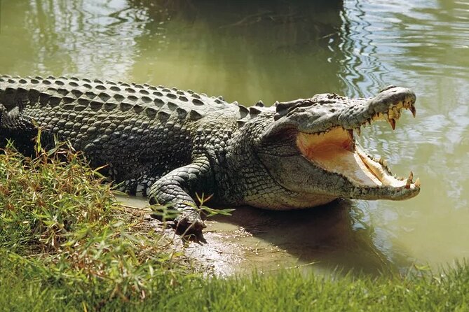 Lunugamwehera (Weheragala Entrance) National Park - Ajith Safari - Key highlights to know before you go