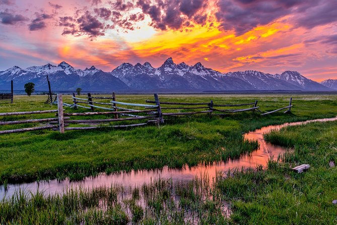 Luxury Private Half-Day Grand Teton National Park Tour - Oxbow Bend and Willow Flats: photo stops with wildlife odds