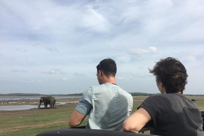 Luxury safari to minneriya national park - Who this private safari is perfect for