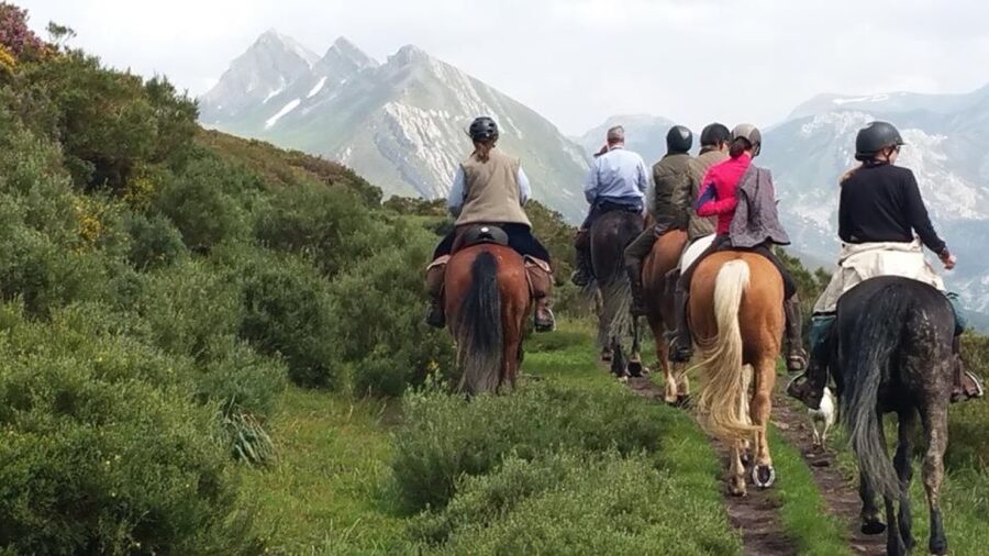 Madrid: Horse Riding in Sierra del Guadarrama National Park - Why Sierra del Guadarrama Horse Riding Feels Worth It