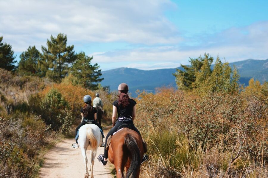 Madrid: Horse Riding in Sierra del Guadarrama National Park - Meeting Point Reality: Getting to C. de las Pozas, 1