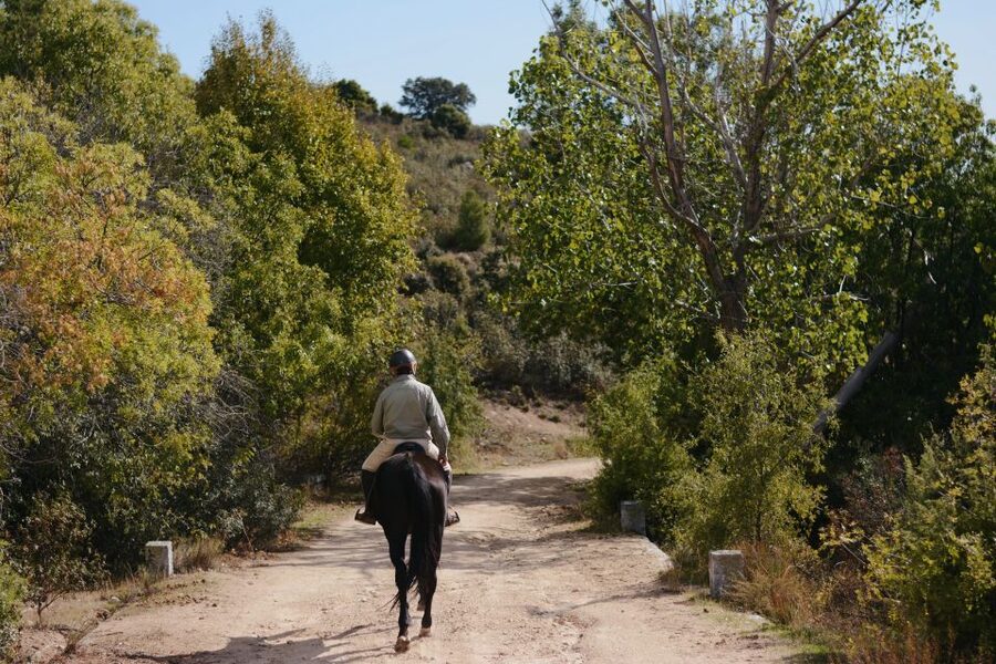 Madrid: Horse Riding in Sierra del Guadarrama National Park - The Short Drive (About 10 Minutes) That Gets You Ready