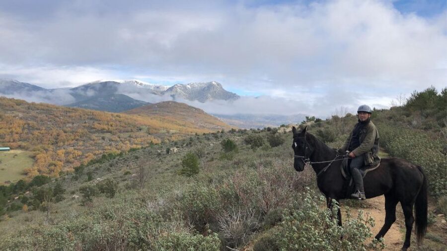 Madrid: Horse Riding in Sierra del Guadarrama National Park - The Wildlife and Historic Sights You Might Catch on the Route