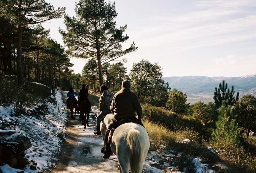 Madrid: Horse Riding in Sierra del Guadarrama National Park - Who This Tour Suits (and Who Should Skip It)