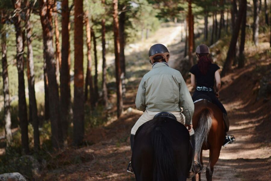 Madrid: Horse Riding in Sierra del Guadarrama National Park - The Real Value of $88: What You Actually Get