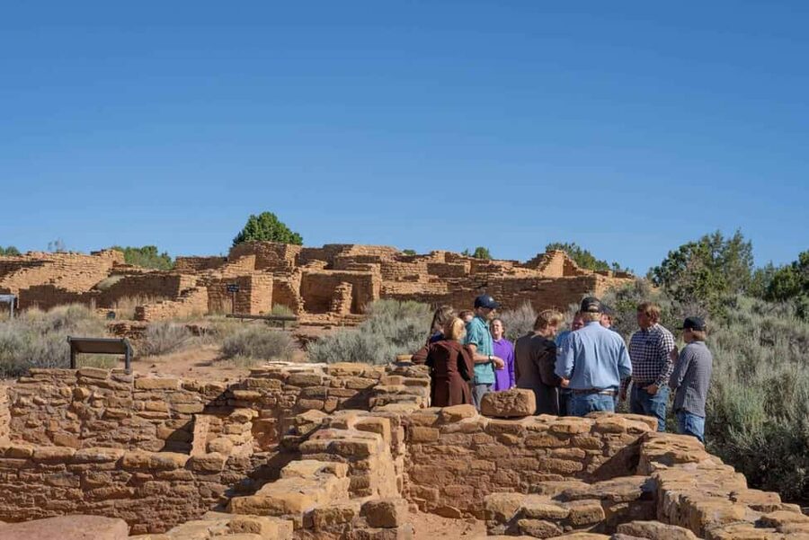 Mancos: Mesa Verde National Park Half-Day Tour - Meeting in Mancos and getting to Mesa Verde fast