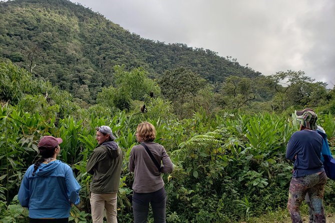 Manu National Park Tour 4days/3night - Hot Springs Break: The Recovery Part You’ll Appreciate