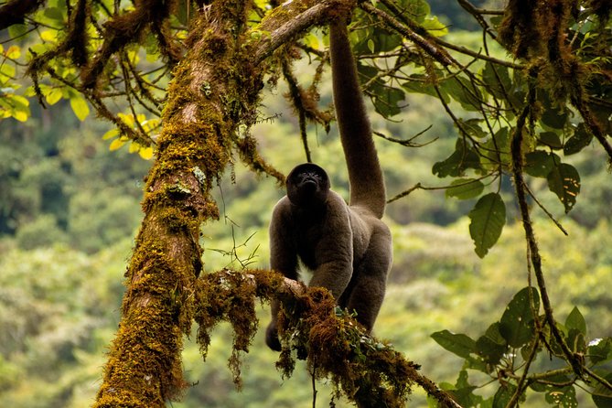 Manu National Park Tour 4days/3night - Price and Value: What You’re Really Paying For