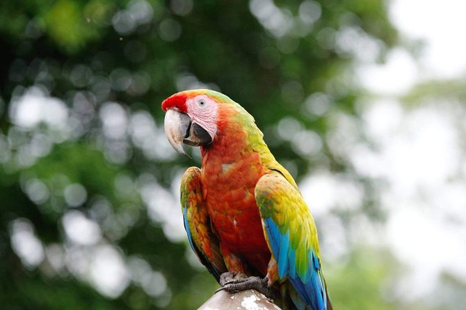 Manuel Antonio National Park; Beach & Sightseeing Day Trip from San Jose - Orotina breakfast and the fruit stand: fuel plus a taste of Costa Rica