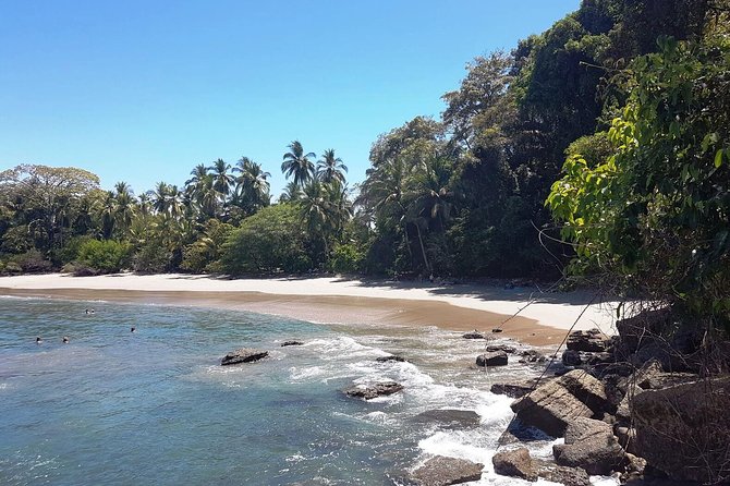 Manuel Antonio National Park; Beach & Sightseeing Day Trip from San Jose - Tarcoles crocodile bridge and the macaw beach stop: short stops, big payoff
