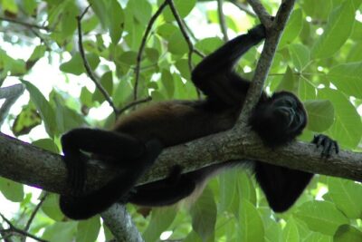 Manuel Antonio National Park Hiking Tour from Jacó - The early stop at Tucanes Tours (bathrooms, breakfast-style meal, and reset)