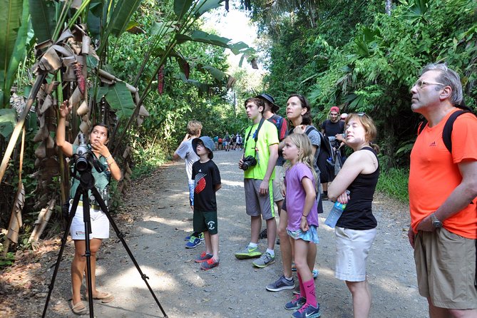 Manuel Antonio National Park Hiking Tour from Jacó - Lunch and drinks: when the timing actually matters