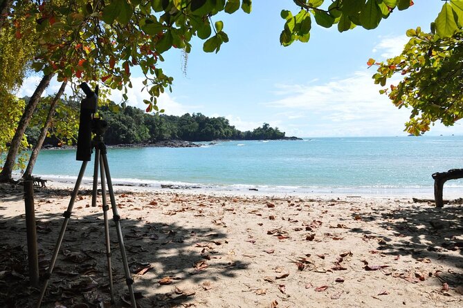 Manuel Antonio National Park Hiking Tour from Jacó - Photos, scopes, and the small details that turn sightings into memories