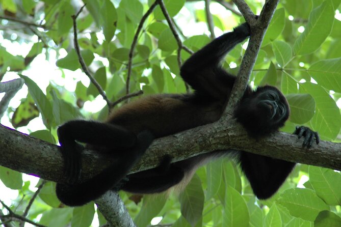 Manuel Antonio National Park Hiking Tour from Jacó - The early stop at Tucanes Tours (bathrooms, breakfast-style meal, and reset)