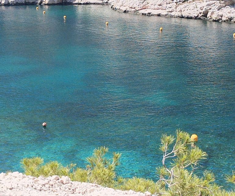 Marseille: Guided Hiking Calanques National Park from Luminy - What to pack and how to prep for a comfortable hike